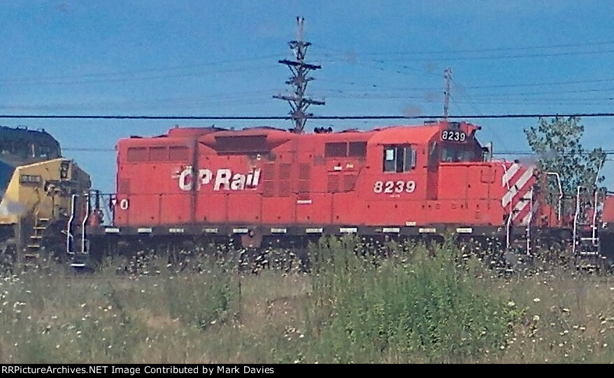 CP 8239